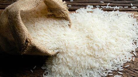 India's #riceexport ban explained | How #openai different than #bard